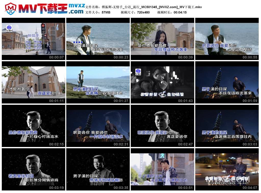 傅振辉-无情手_台语_流行_MC501345